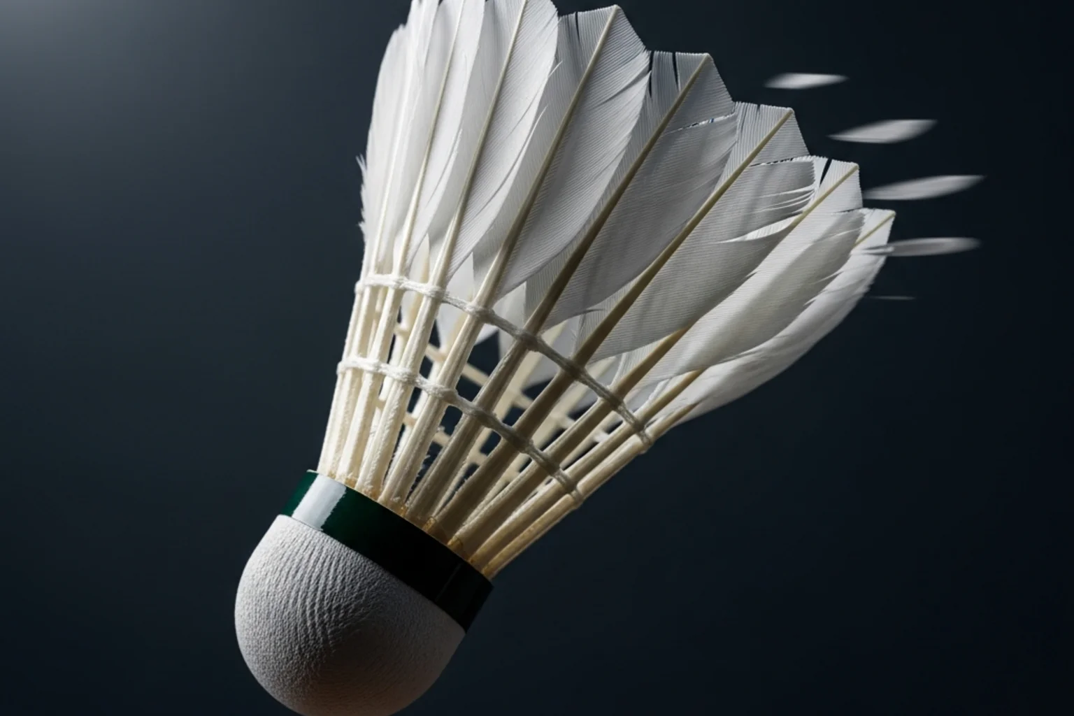 Volant de badminton en plumes d’oie en gros plan, lumière studio dramatique